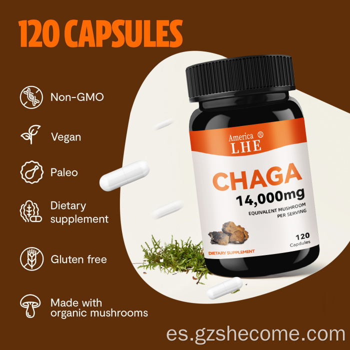 Cápsulas de champiñones Chaga Cápsulas de apoyo a la salud